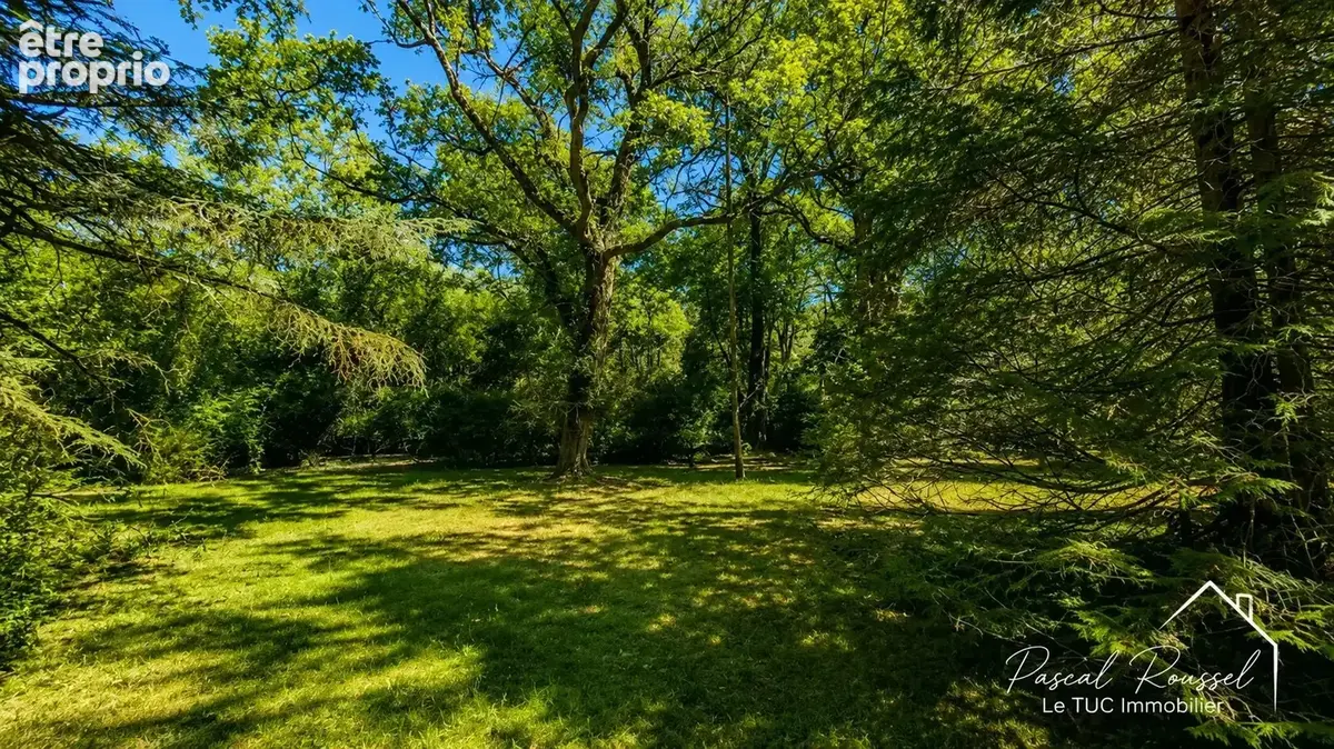 LONGERE DE CARACTERE-270 m2-3,5 hectares de bois-Dépendances - photo 12