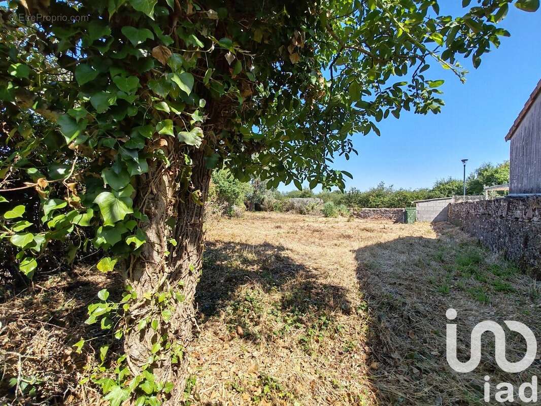 Photo 2 - Terrain à ARGENTON-CHATEAU