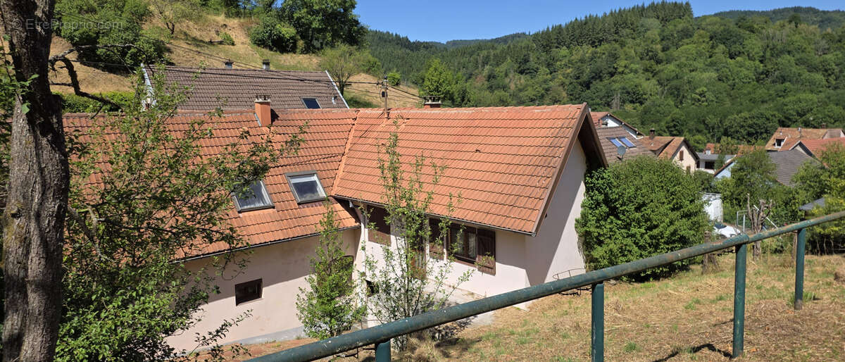 Rothau, grande maison individuelle avec logement indépendant, 12.76 ares. - photo 38