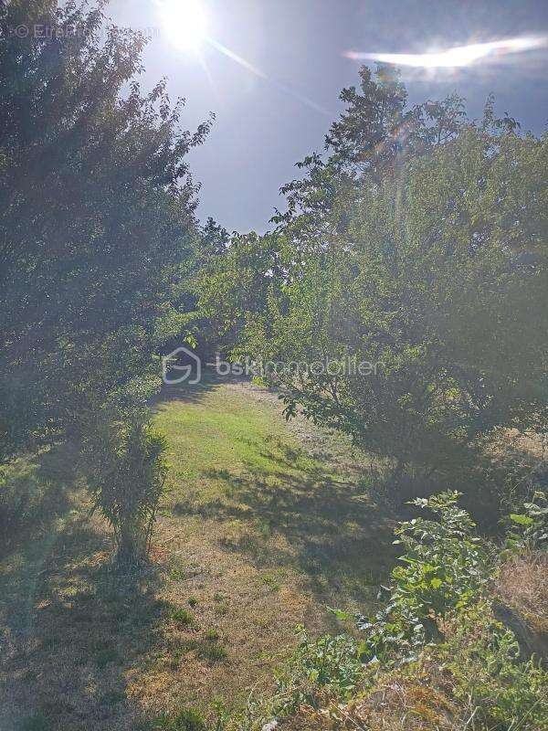  Superbe terrain arboré de 4 190 m² (Divisible ou extensible jusqu'à 8 879 m²) – Tourtoirac - photo 2