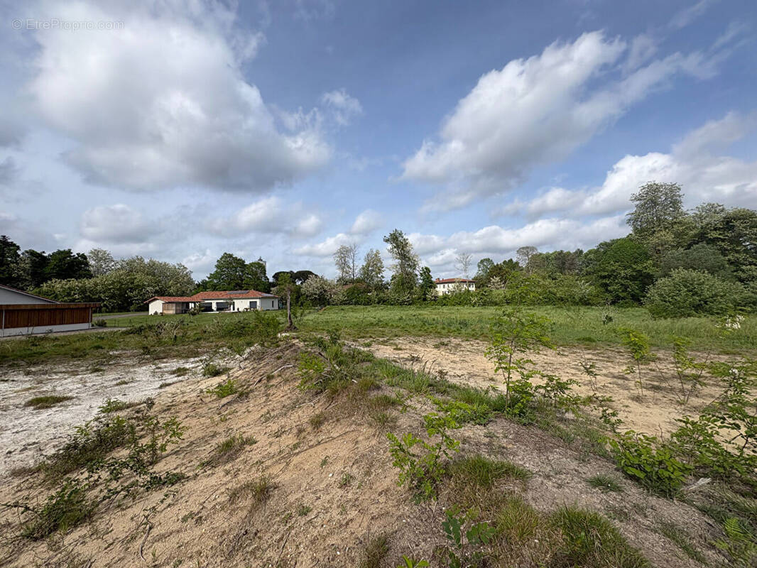 Terrain à RION-DES-LANDES