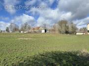 IMG_1866 - Terrain à VILLERS-COTTERETS