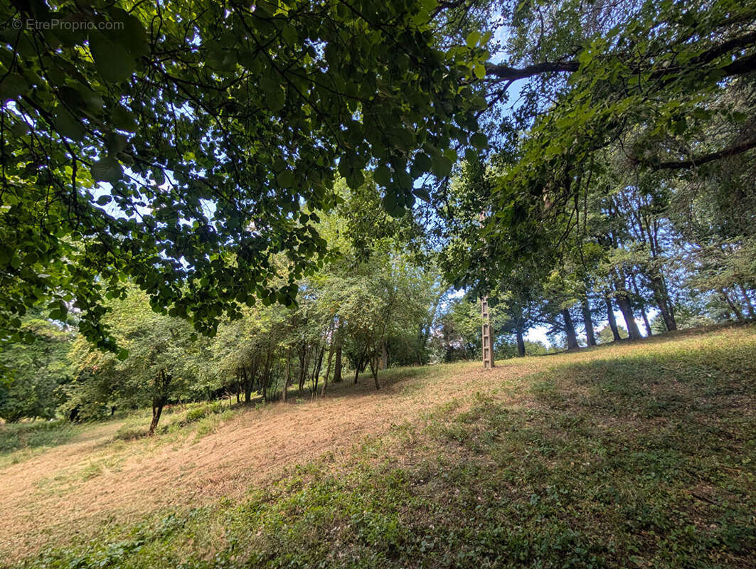 Terrain - Vienne  -16000 m2 - photo 2