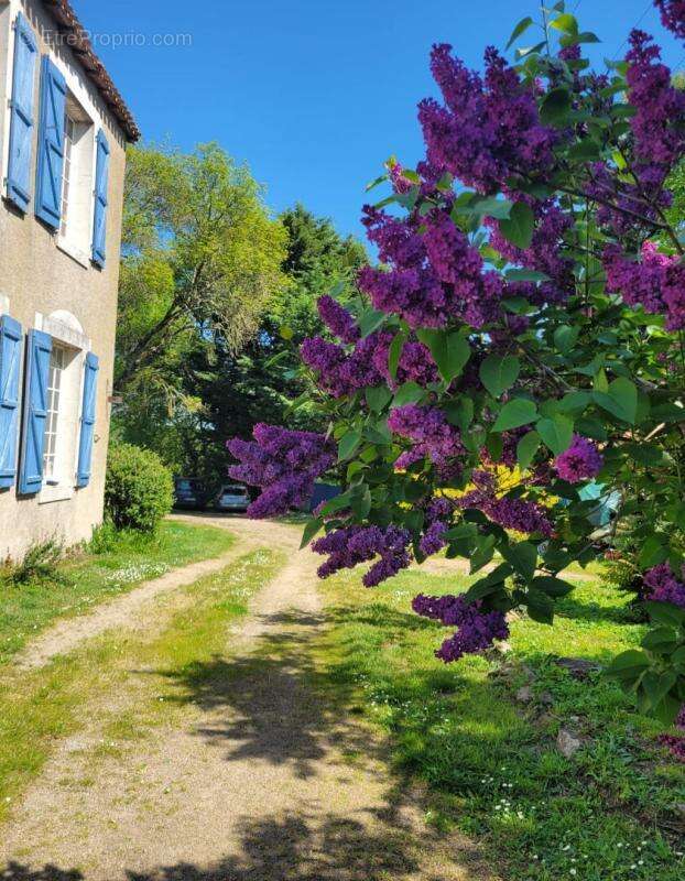 Maison à LA CHAPELLE-BASSE-MER