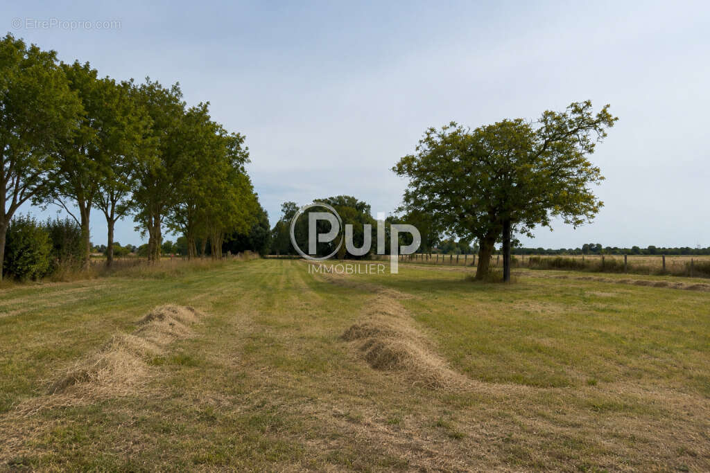 Ferme 291m2  sur 7000 m2 de terrain - photo 5