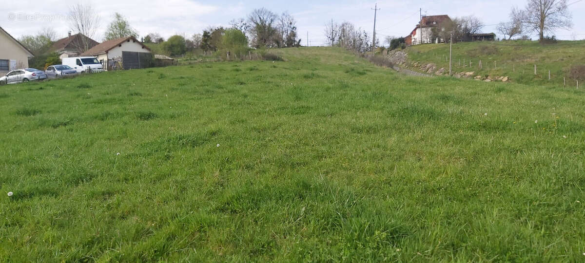 Terrain à VIELLESEGURE