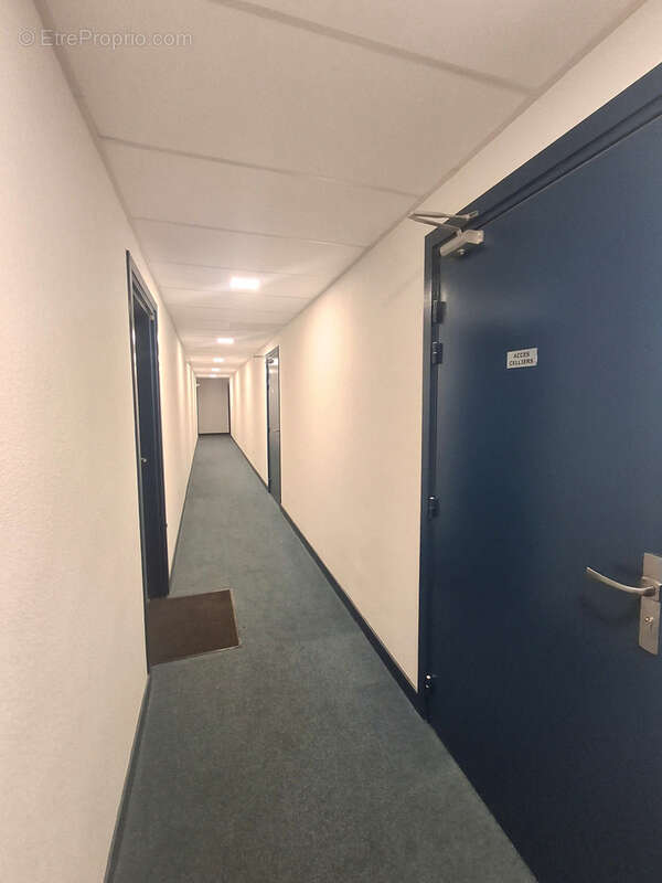Pinsaguel- apt t3 avec jardin privatif - photo 16