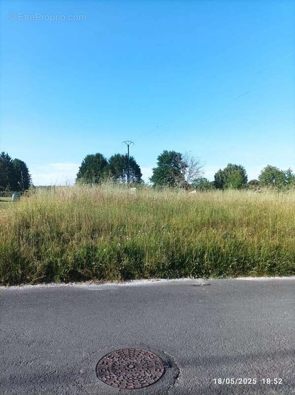 Terrain à SAINT-LEON-SUR-L&#039;ISLE