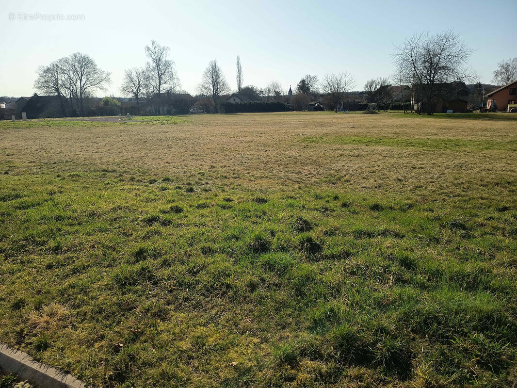 Terrain à MALBOUHANS