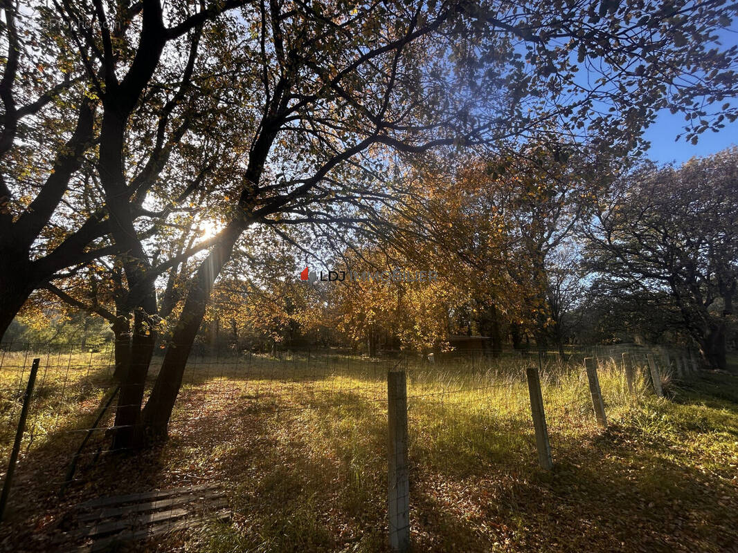 Terrain à ARGELES-SUR-MER