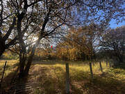 Terrain à ARGELES-SUR-MER