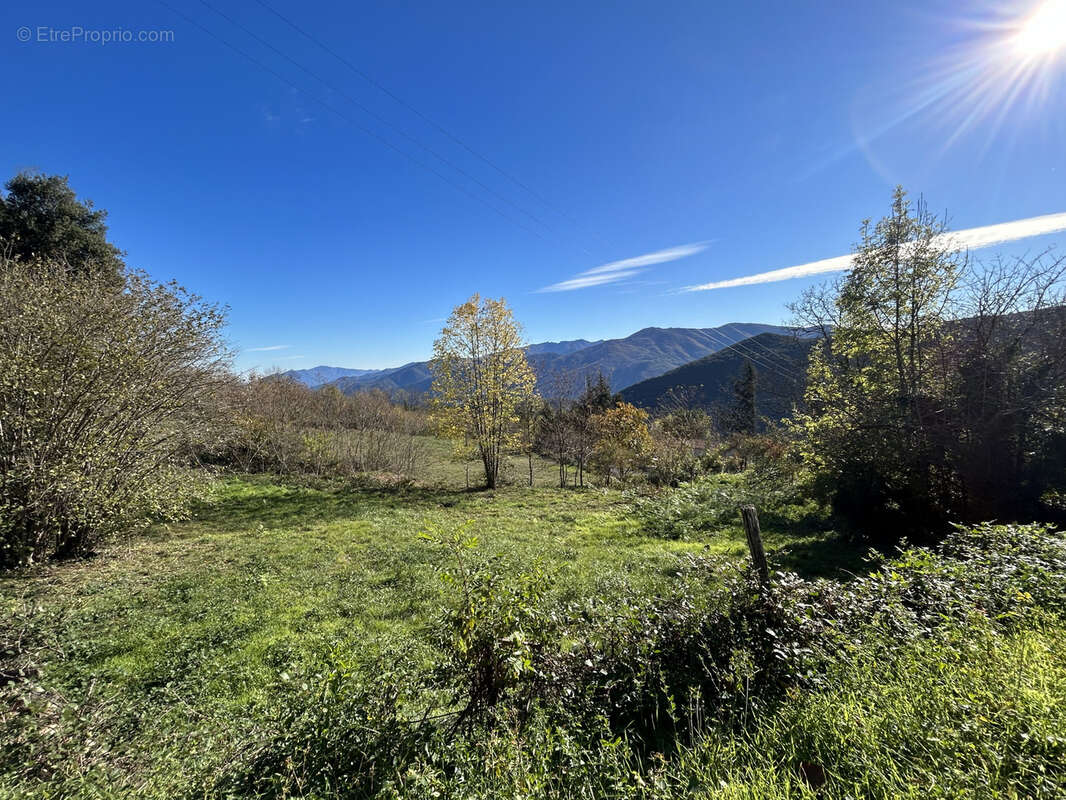 À Corsavy (66), terrain de 1500m2 à acheter - photo 4