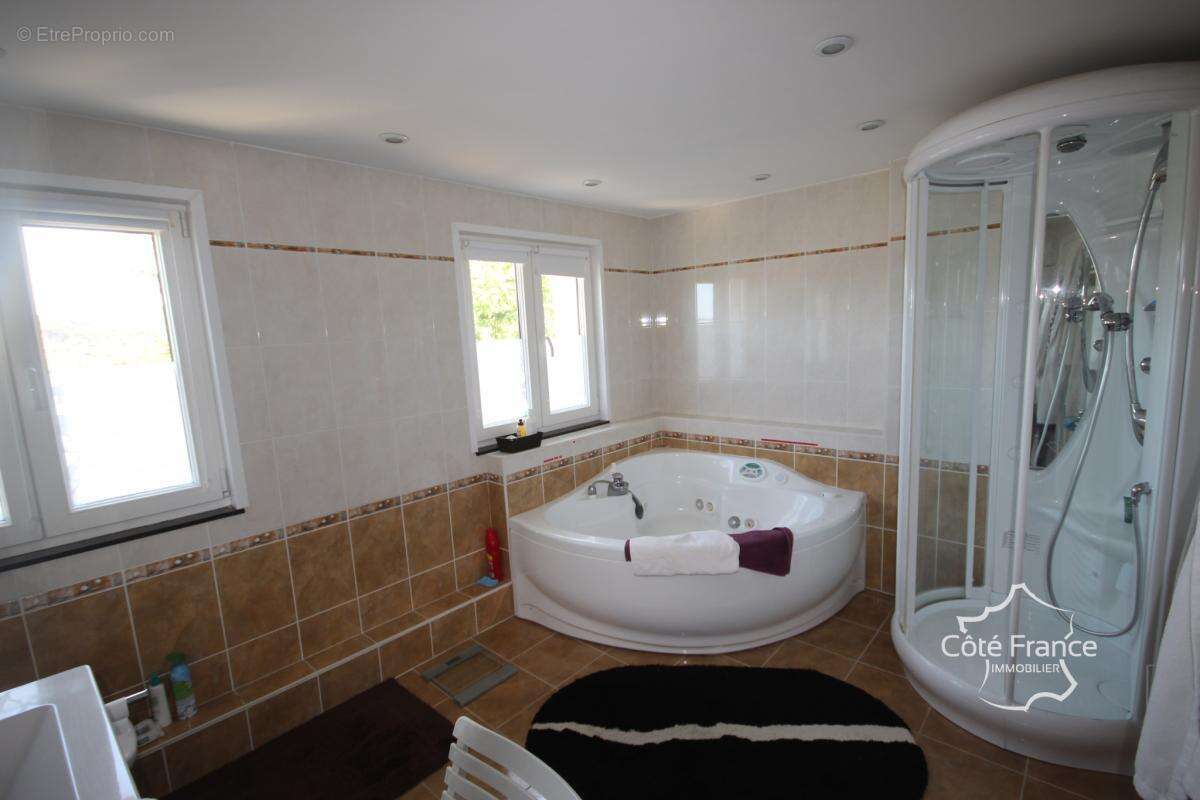 AUBRIVES VILLA DE CARACTERE sur un terrain de 3600 m2, proch - photo 12