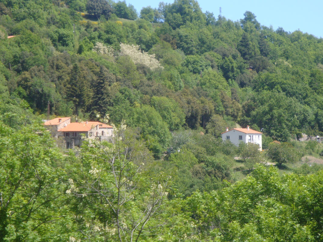 Maison à MONTFERRER