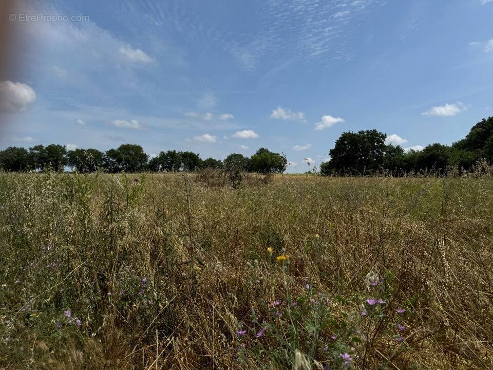 Terrain à VERARGUES