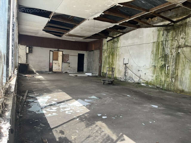 Hangar 1400m2 - photo 5