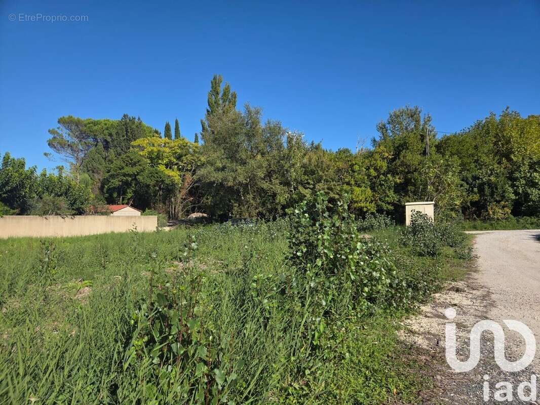 Photo 6 - Terrain à SAINT-REMY-DE-PROVENCE
