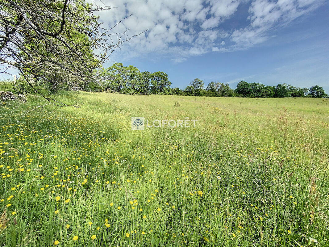 Terrain à LIEUTADES