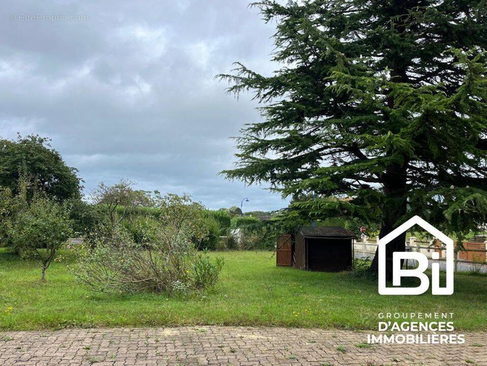 Terrain à COLLEVILLE-MONTGOMERY