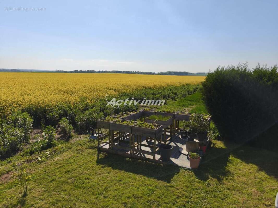 4262 2 - Maison à HUMIERES