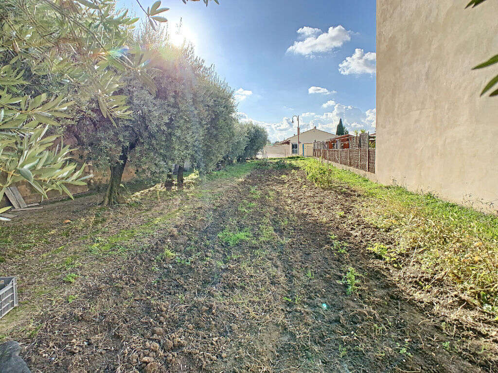 Terrain à CHEVAL-BLANC