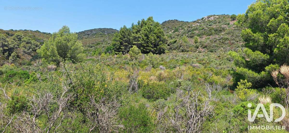 Terrain 9404 m² à Embres-Et-Castelmaure  - photo 4