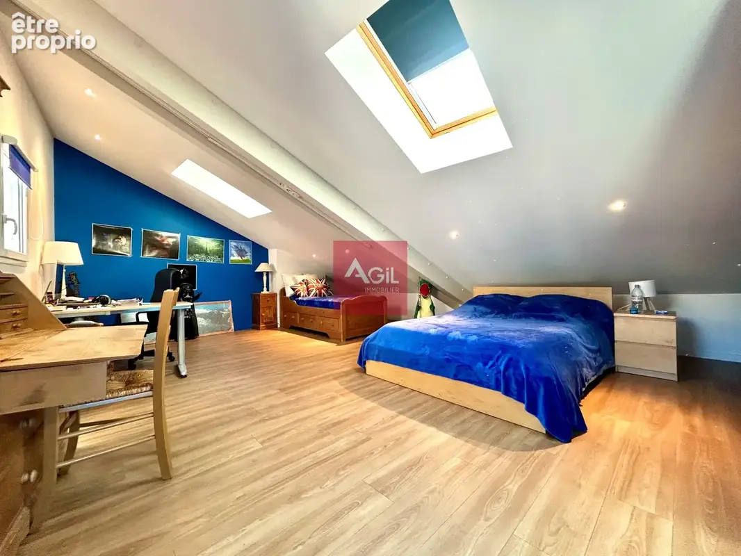 GRENOBLE - Rue Raoul Blanchard : T7 en duplex de 260m2 - photo 11
