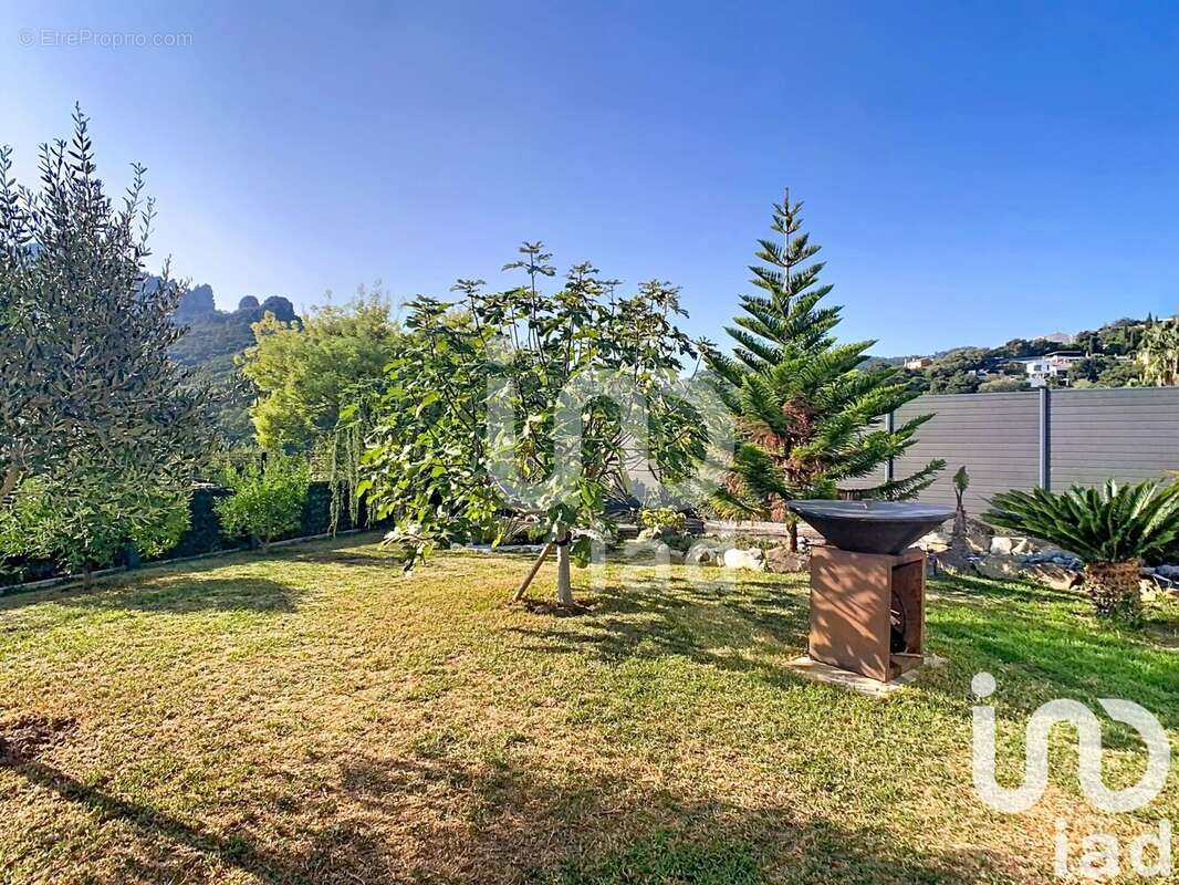 Photo 7 - Maison à MANDELIEU-LA-NAPOULE