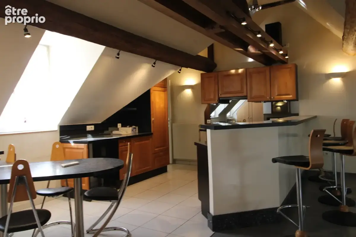 Bel appartement centre-ville hotel particulier - photo 3