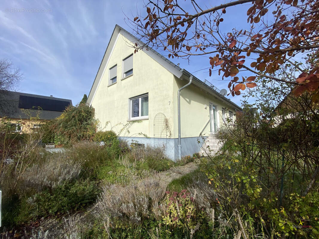 Maison à NIEDERLAUTERBACH