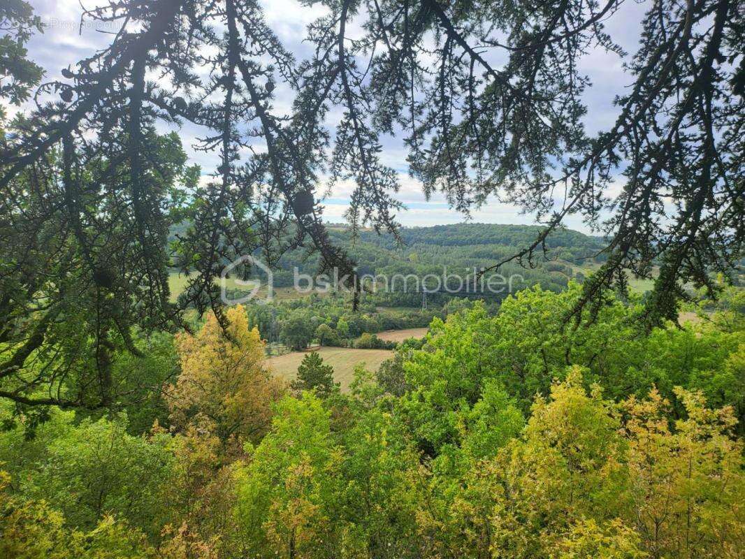 Chateau 32 pieces+dependances - propriete 9 hectares- jardin - photo 7