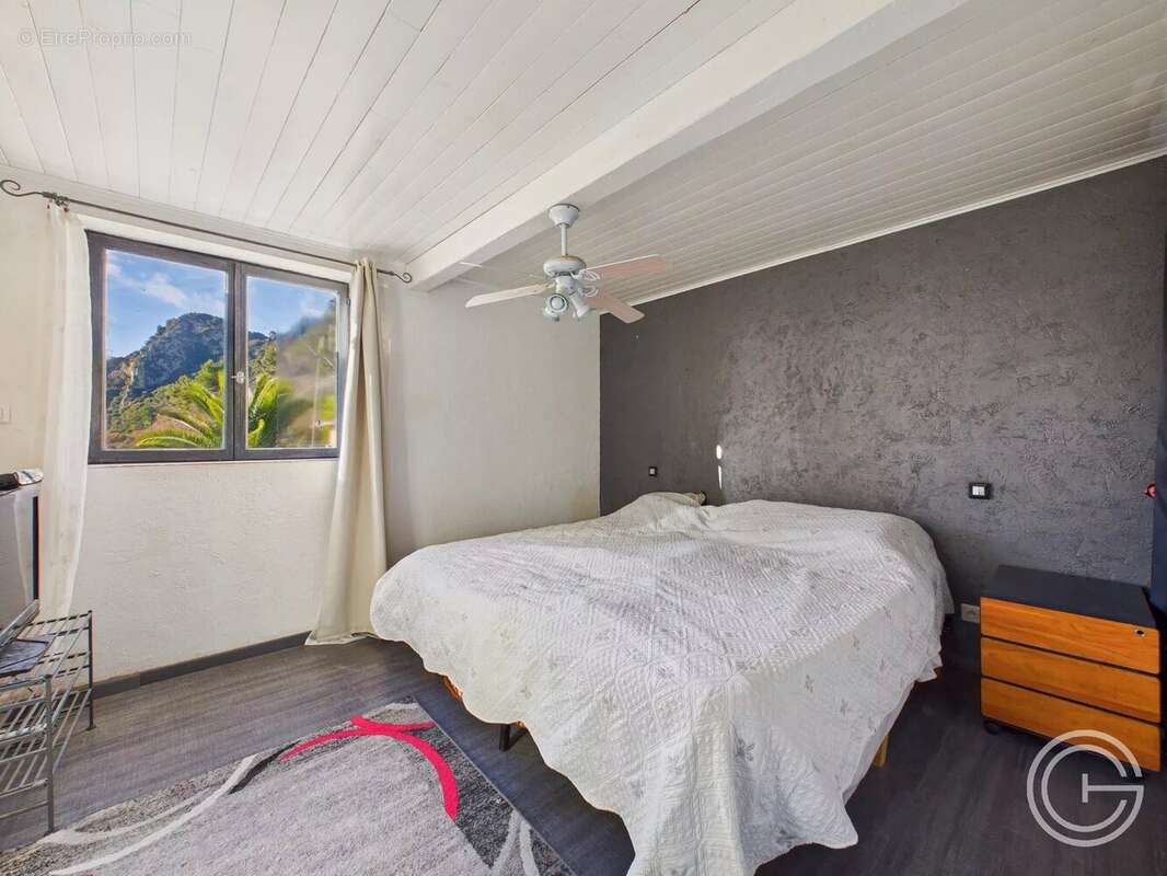 Propriété avec deux maisons et studio – 7 500 m² de terrain - route de l'Escarène - PEILLE - photo 25