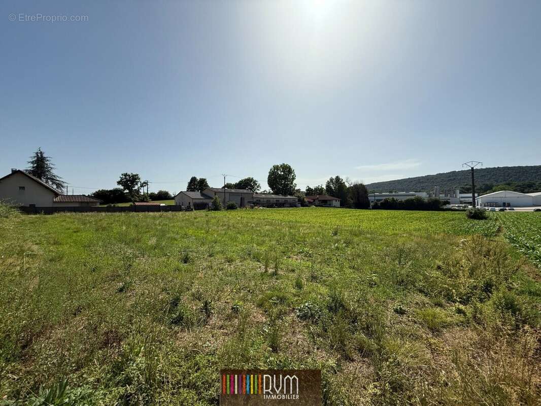 Terrain à SIMANDRE-SUR-SURAN