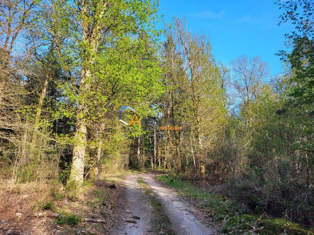 Terrain à NEUVY-SUR-BARANGEON