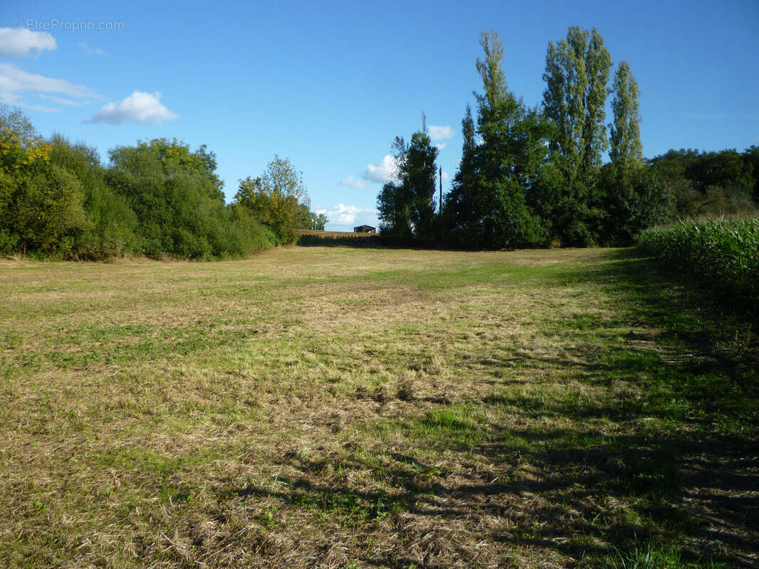 Terrain de loisir - photo 2