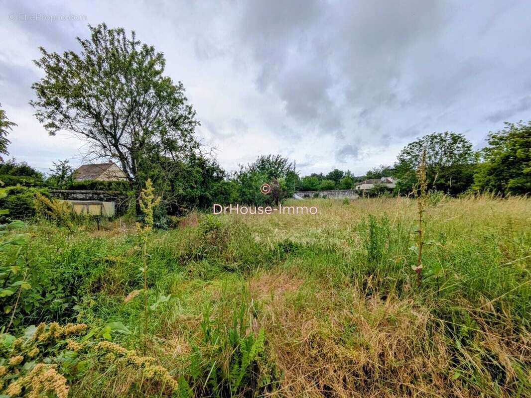 Terrain 980 m² à vendre à Limay (78520) - photo 13