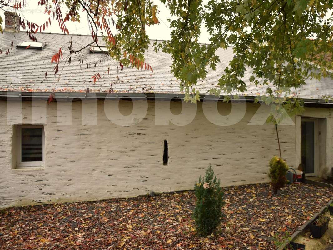 Brochard sélection photos pour pub (2) - Maison à SAINT-MARS-LA-JAILLE