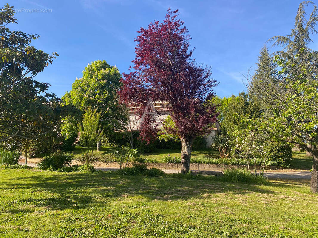 Maison à MONTRABE