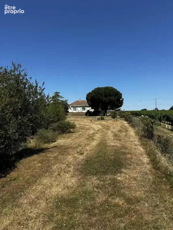 Maison 90 m² à Clere-Sur-Layon  - photo 14