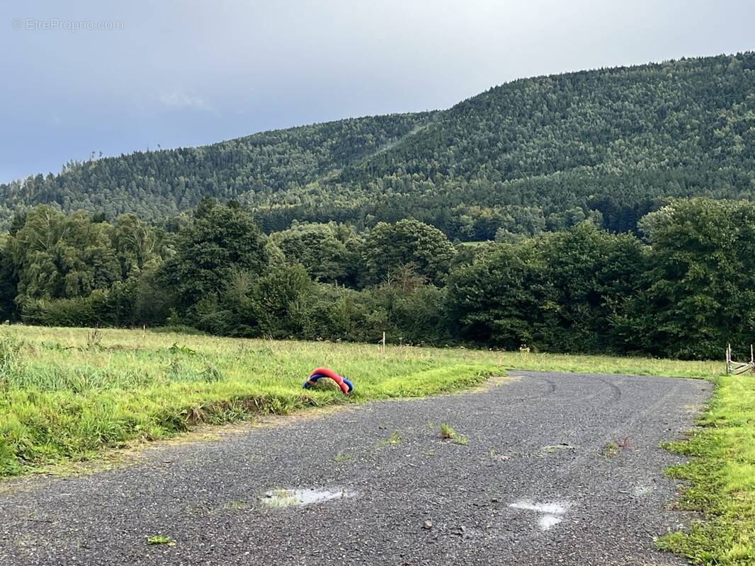 Terrain à LES POULIERES