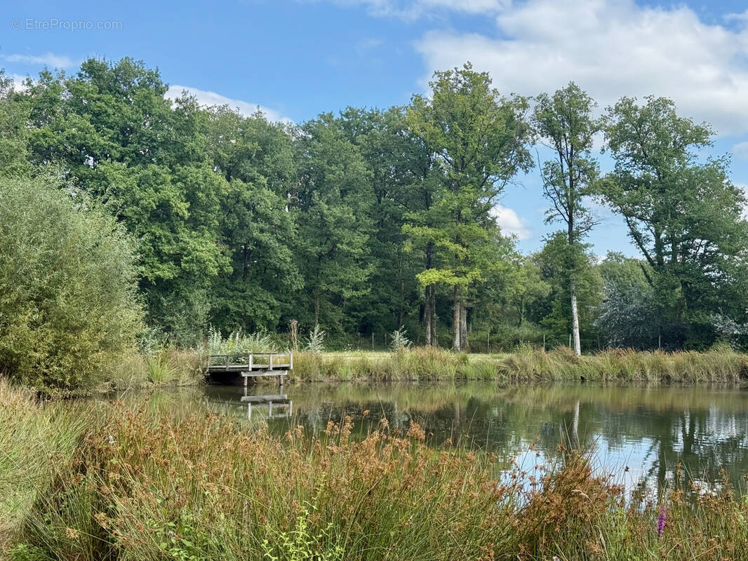 Terrain à MONTIGNE-LES-RAIRIES