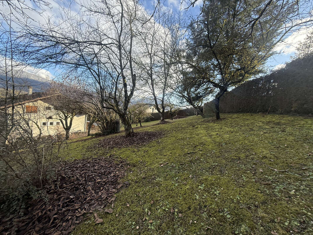 Terrain à ARGONAY