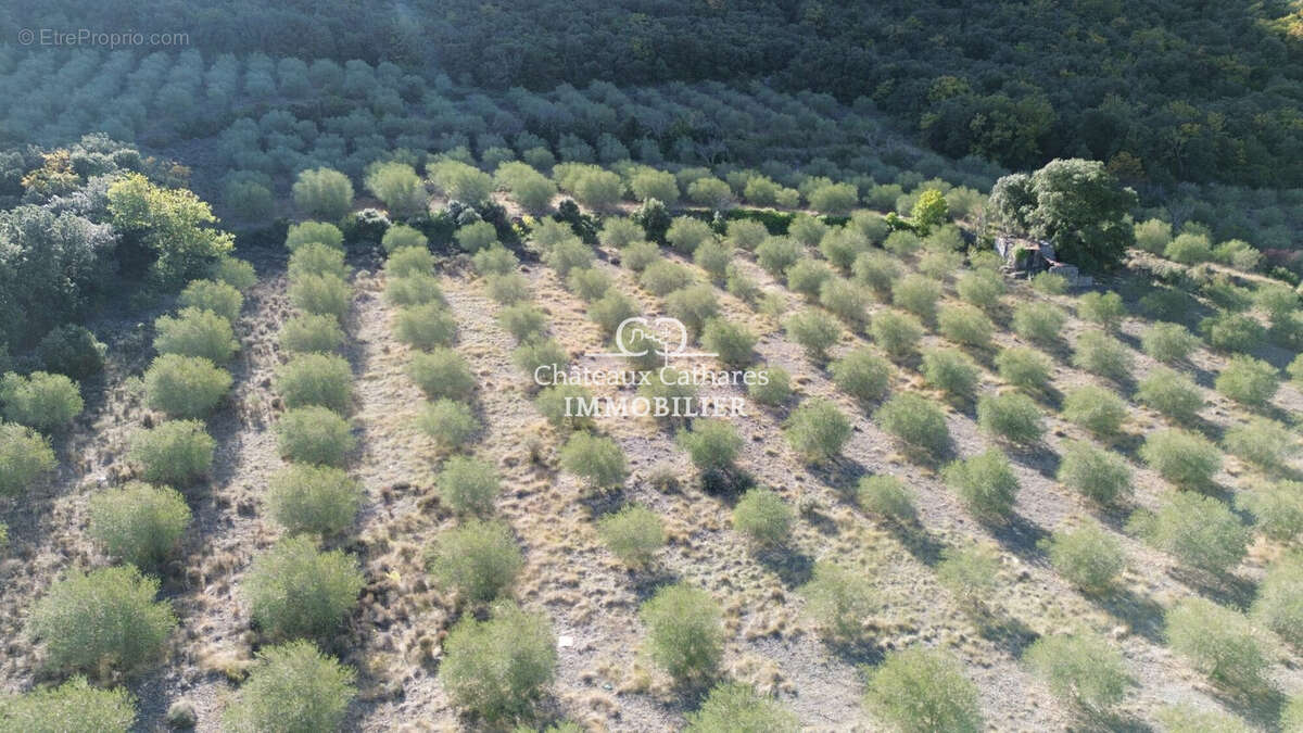 Terrain à SAINT-PAUL-DE-FENOUILLET