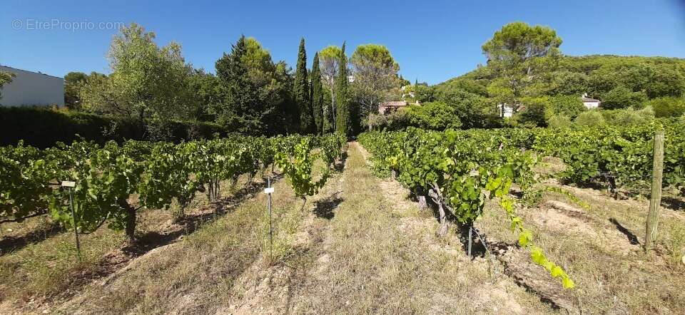 Terrain à DRAGUIGNAN