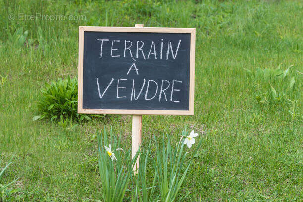 Terrain à VARRAINS