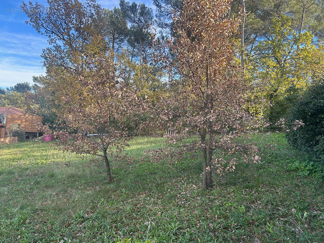 Terrain à ROCBARON