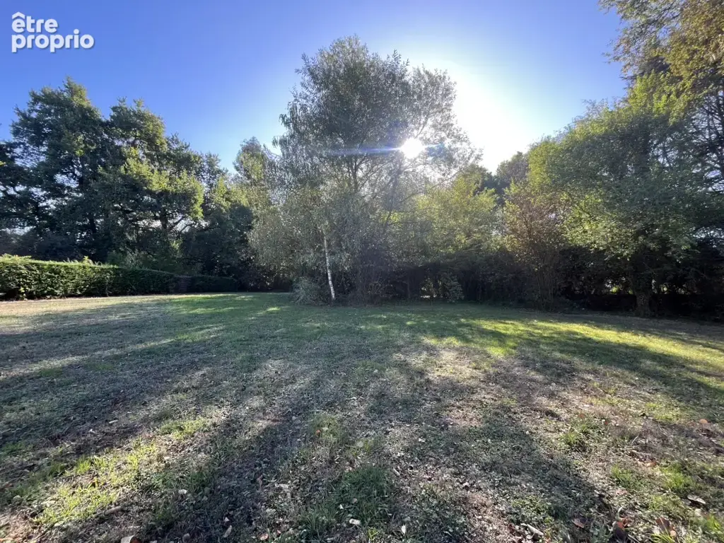 À vendre   maison avec grand terrain à vezins - photo 10