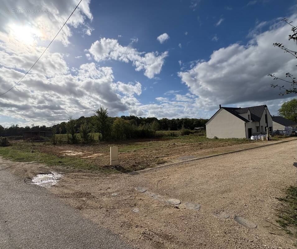 Terrain à SOIGNOLLES-EN-BRIE