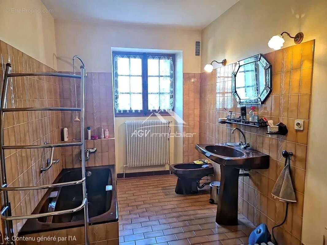 Maison à SAINT-HILAIRE-DE-BRETHMAS