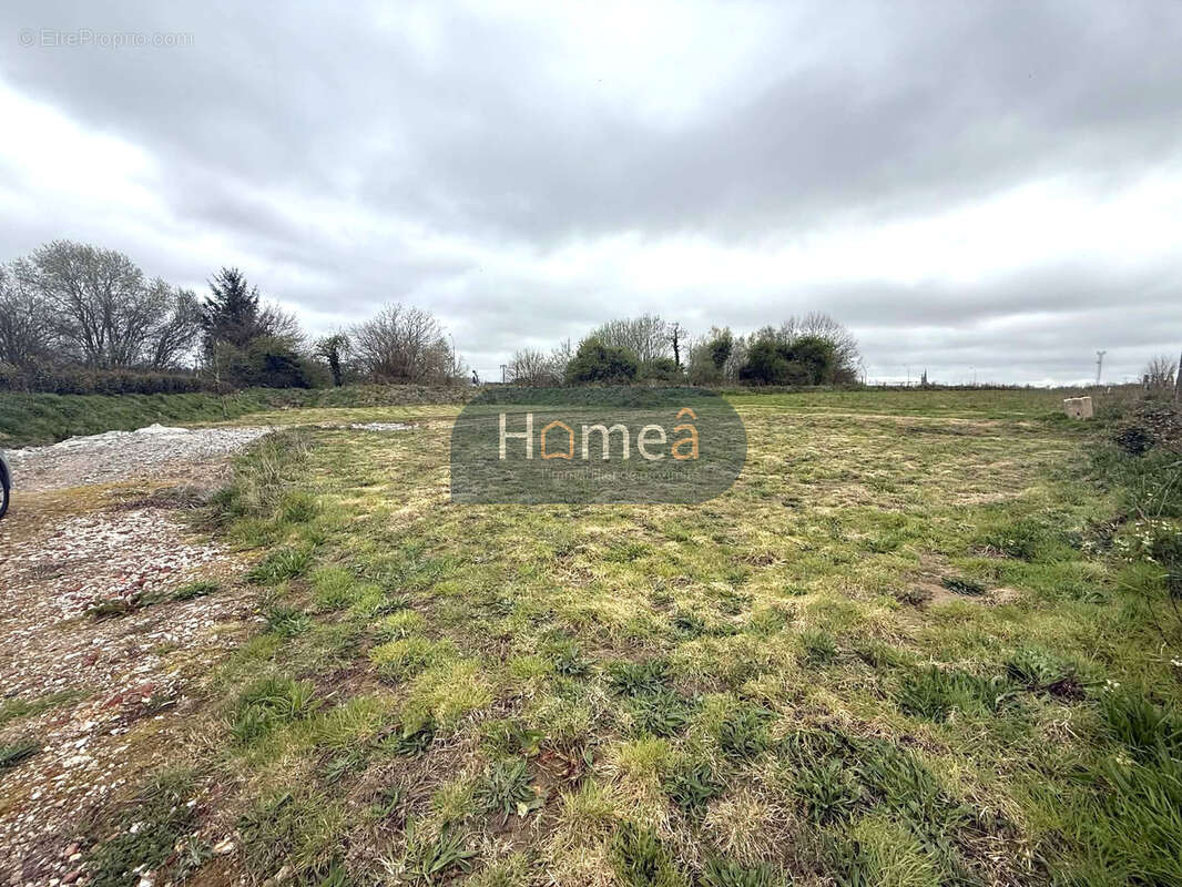 Terrain à bâtir 1000m2 axe YVETOT / YERVILLE - photo 2